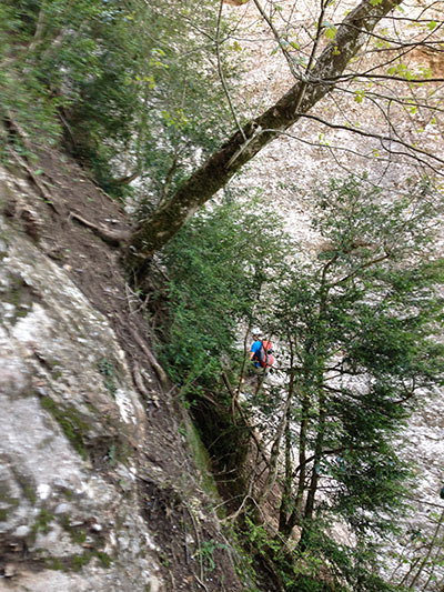 Subimos junto a la pared 4 tramos equipados con cuerdas anudadas 