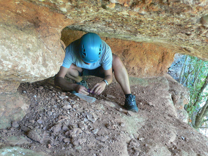 Encontrando tesoros... 