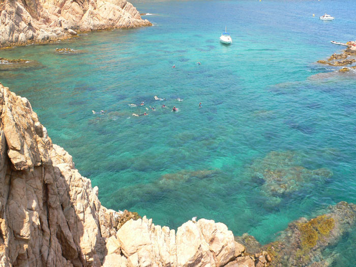 Grupo de bañistas haciendo snorkel 