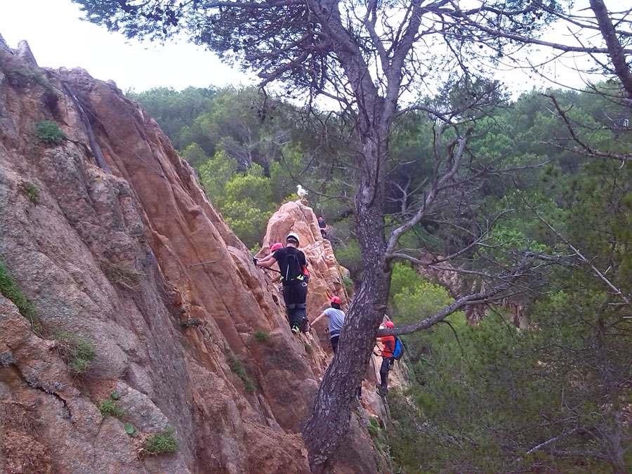 Cresta de salida nos lleva al inicio de la vía 