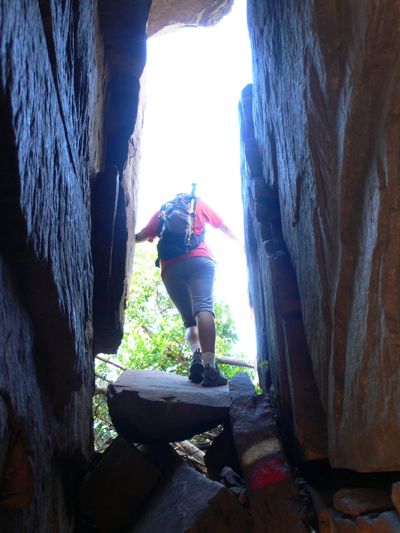 Saliendo de la brecha 