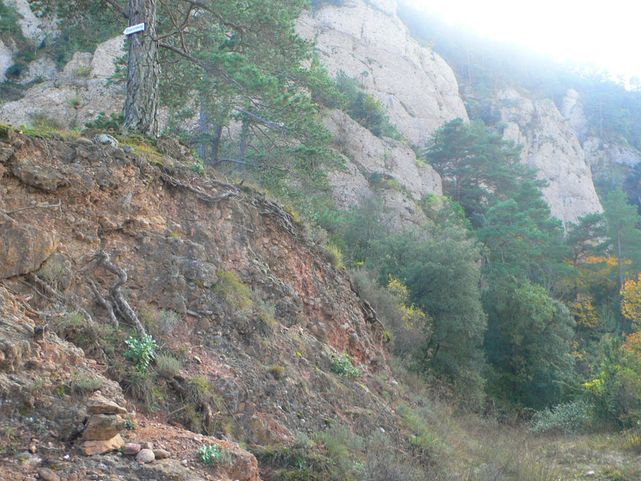 En el collado dels Llengots tomamos un desvío indicado a Trassera -tenemos que subir un terraplén de unos 3 metros- 