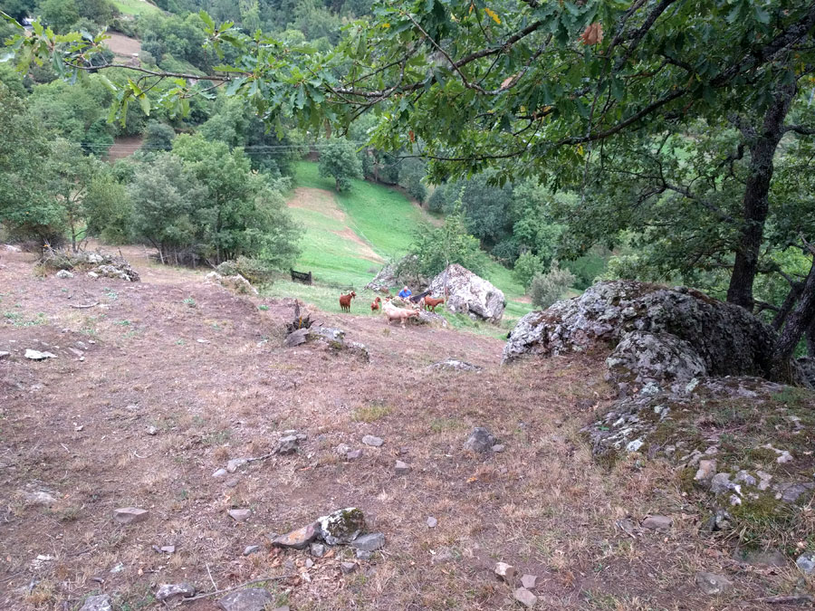 Caminamos por los campos sin despegarnos en exceso de la pared 