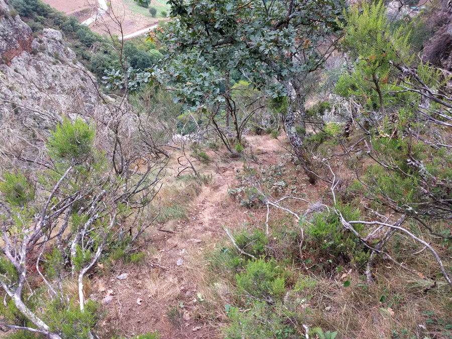 La aproximación tiene bastante pendiente 