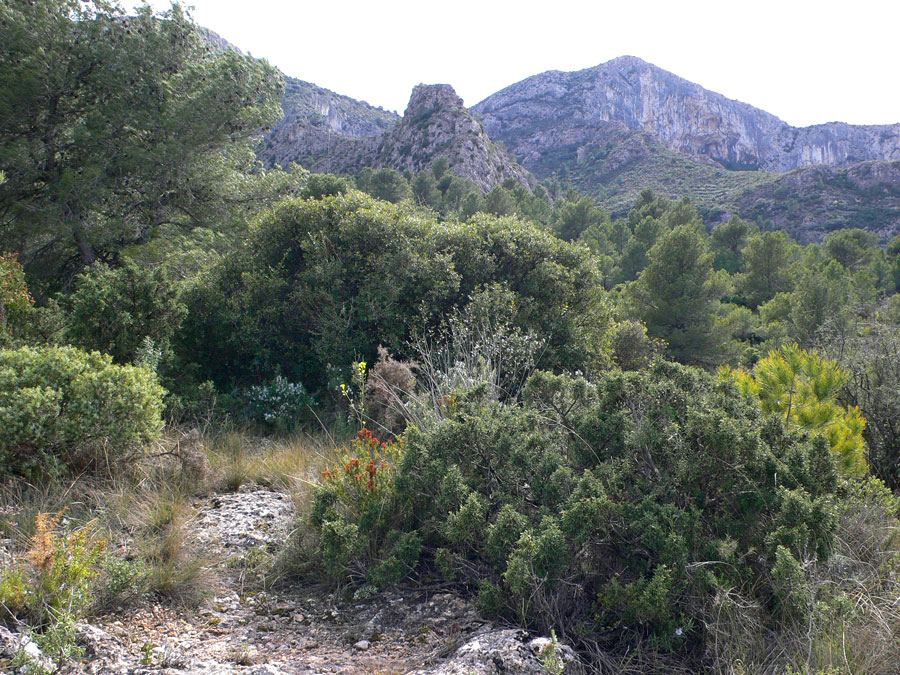 El Tormo de la Margarida visto desde Tivissa 