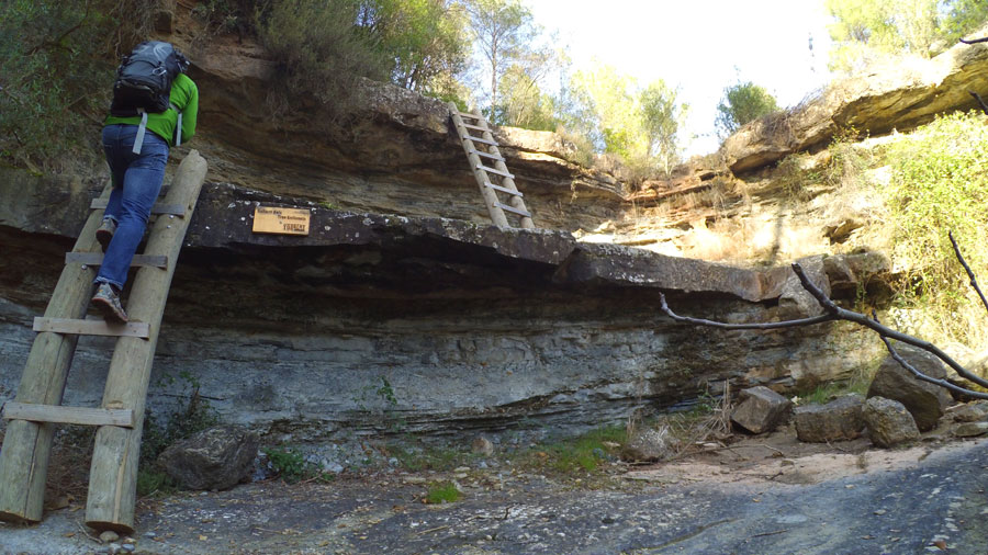 Subiendo els segundo tramo de escaleras de madera del -Saltant dels Tres Enllosats- 