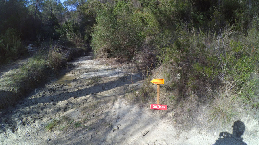 Nosotros seguimos de frente por el torrente 