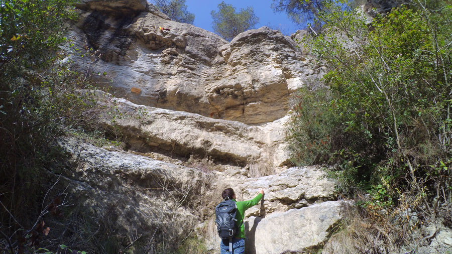 Clavijas en el -Cingle de Sota el Coll- (entre turons) 