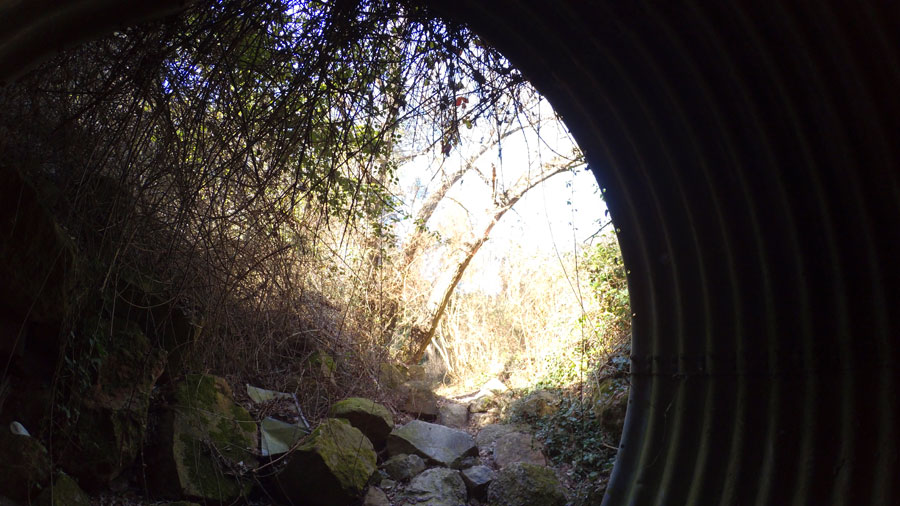 Salimos de los túneles 