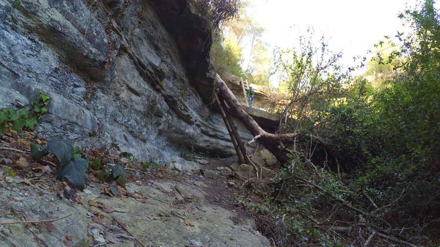 Saltant dels Tres Enllosats 