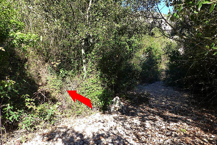 Aquí cogemos el camino de la izquierda 