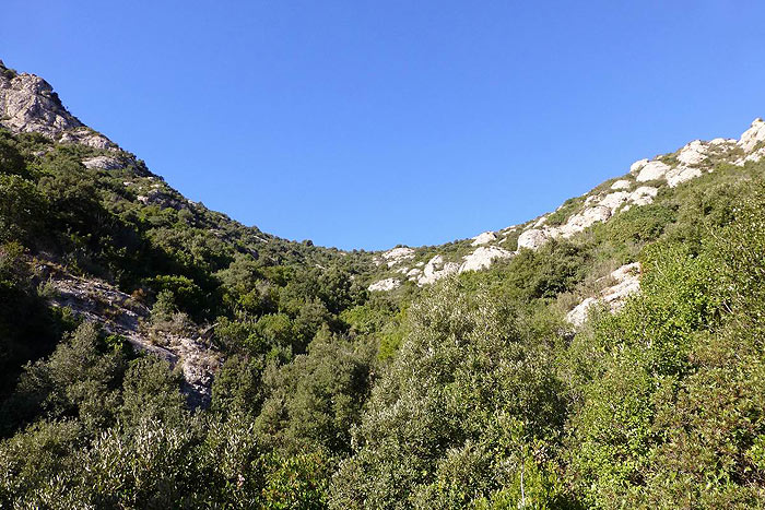 El Coll de les Garrigoses a la vista 