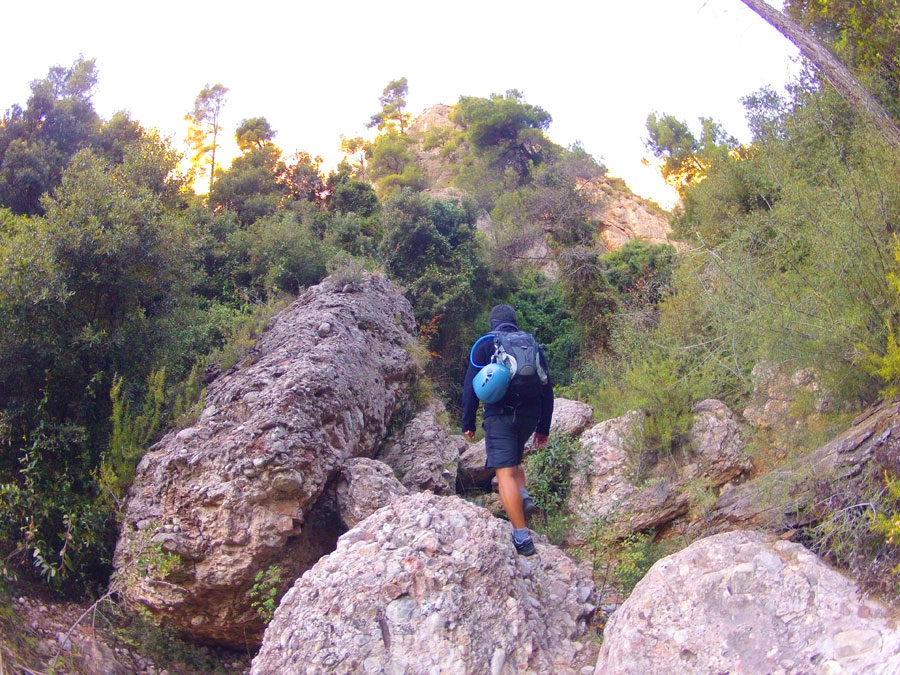 Primeros bloques del torrente 