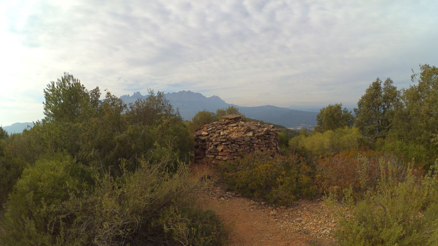 Cabaña circular 