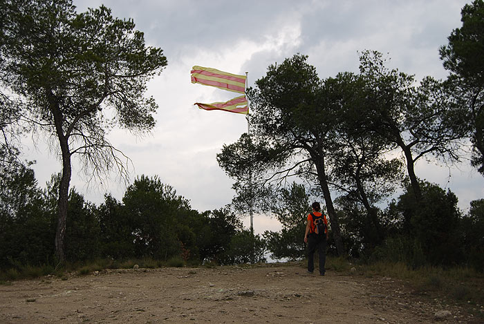 La senyera en la cima del Turó del Marqués 