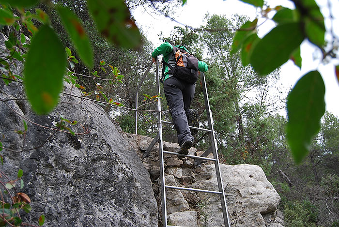 Descendiendo la escalera de regreso 