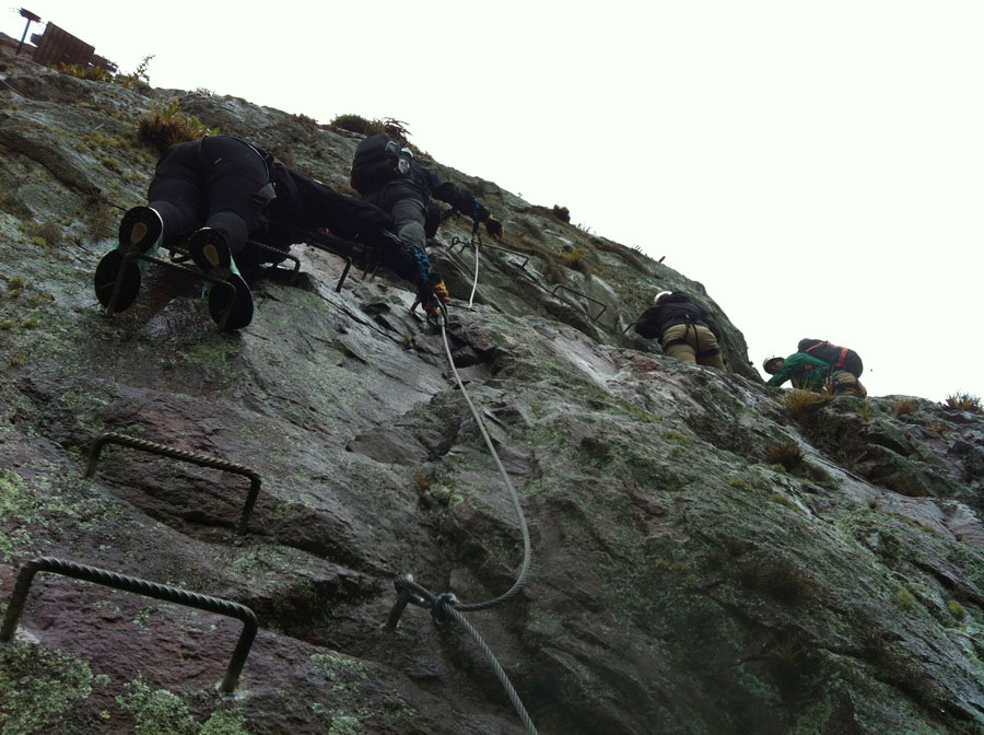 Primeros pasos verticales 