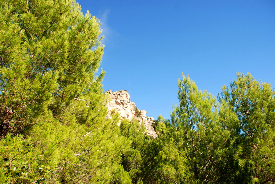 Vista de la vía desde la aproximación 