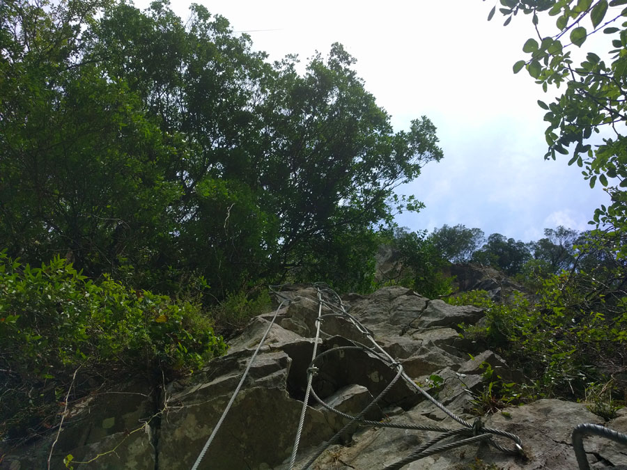 Subida por una escalera de cable 