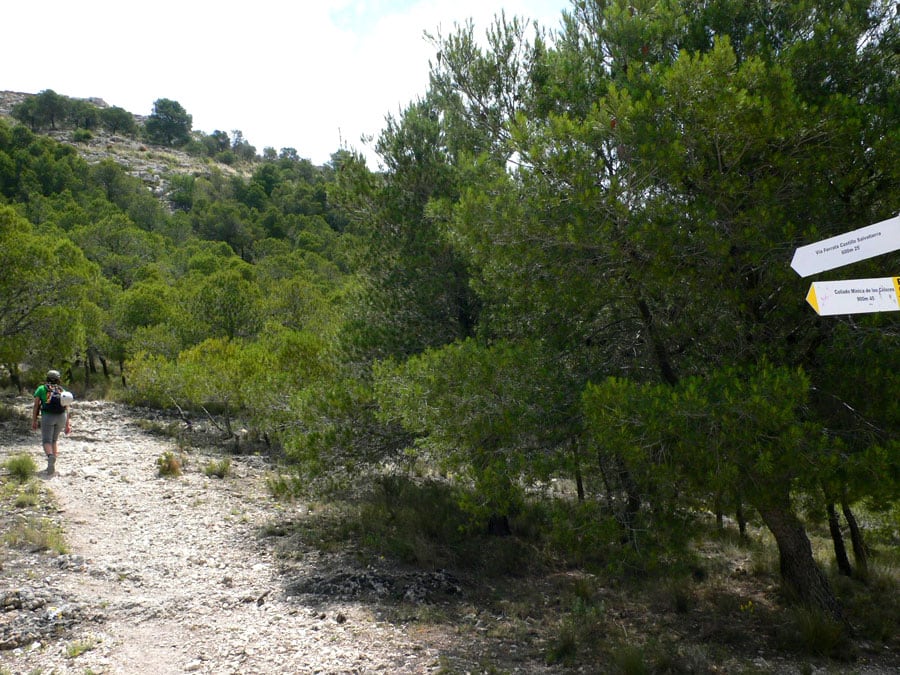 Seguimos hacia arriba en busca del collado 