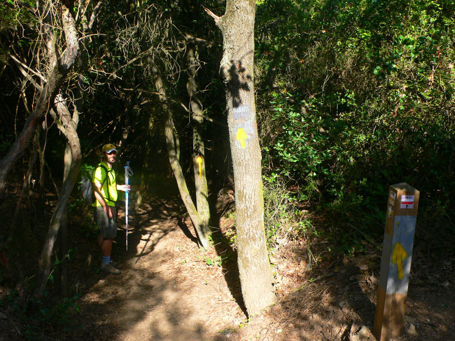 En el collado del Pas del Rei seguimos GR y flechas amarillas 