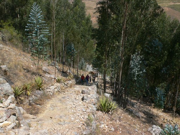Vista desde arriba de la escalinata de piedras inicial 