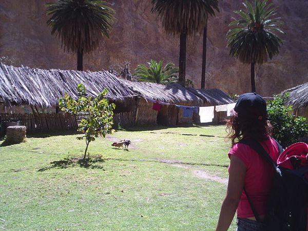 2. La cabañas del Oasis 