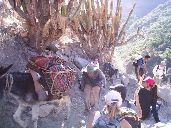 1. La gente de la región se acostumbra a subir y bajar diariamente del cañón 