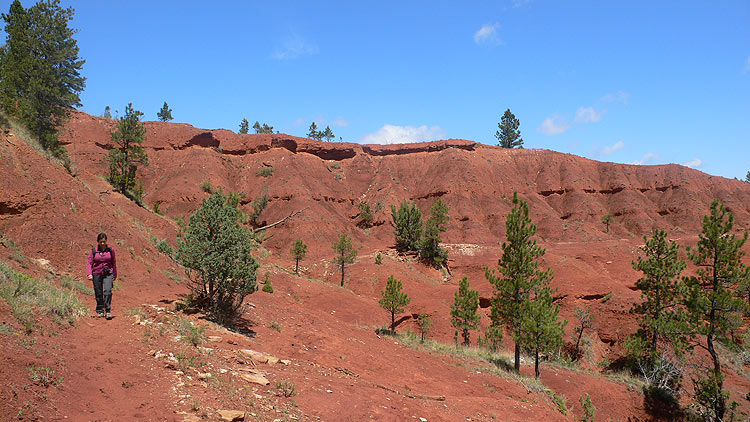 Cerca del río Belle Fourche 
