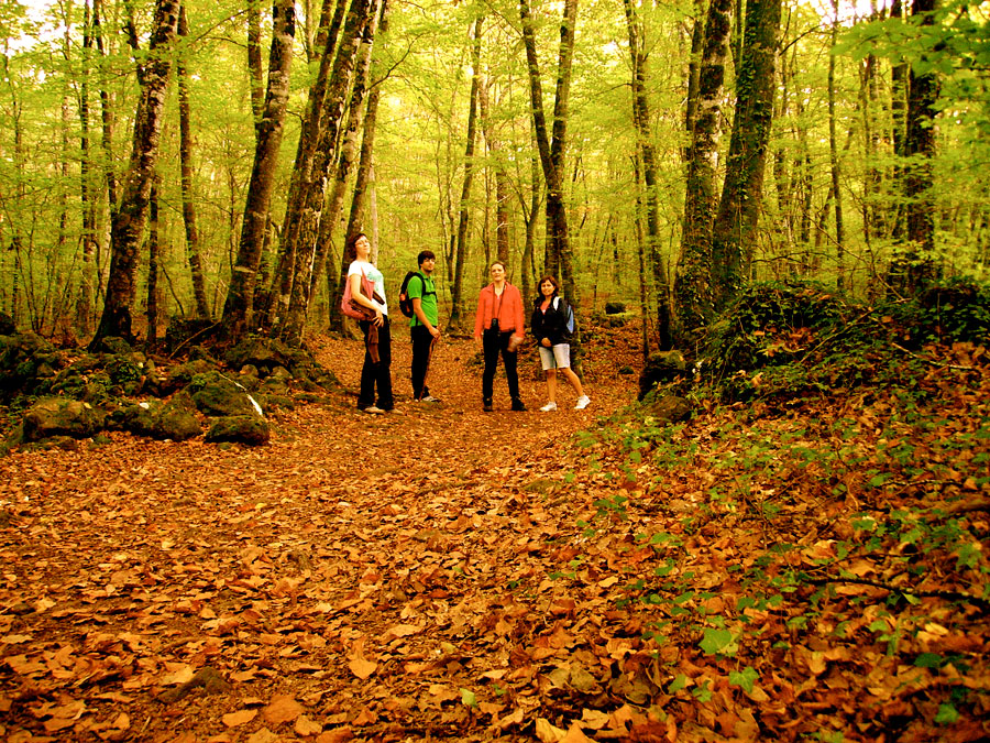Caminando por la Fageda d en Jordà 
