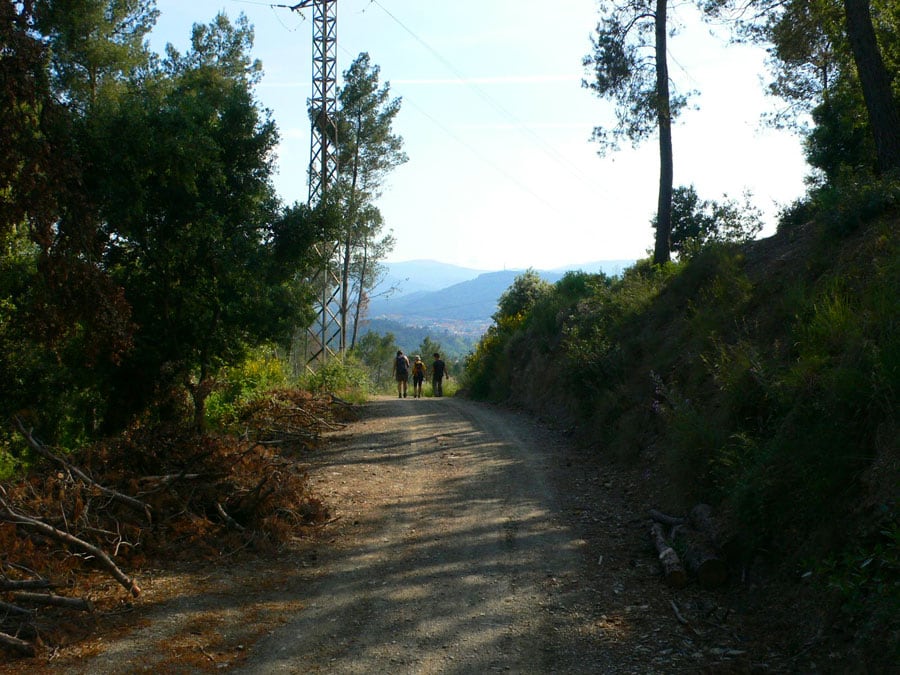 De bajada camino al Papiol 