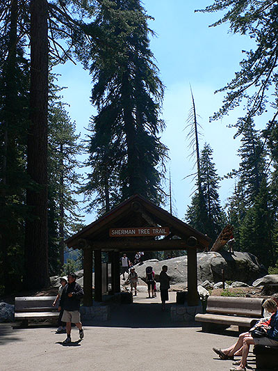 Inicio del Sherman tree trail 