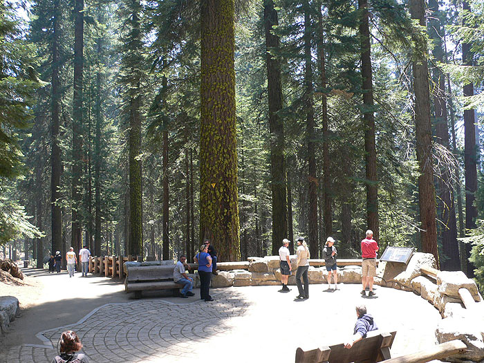 Mirador de la secuoya General Sherman 