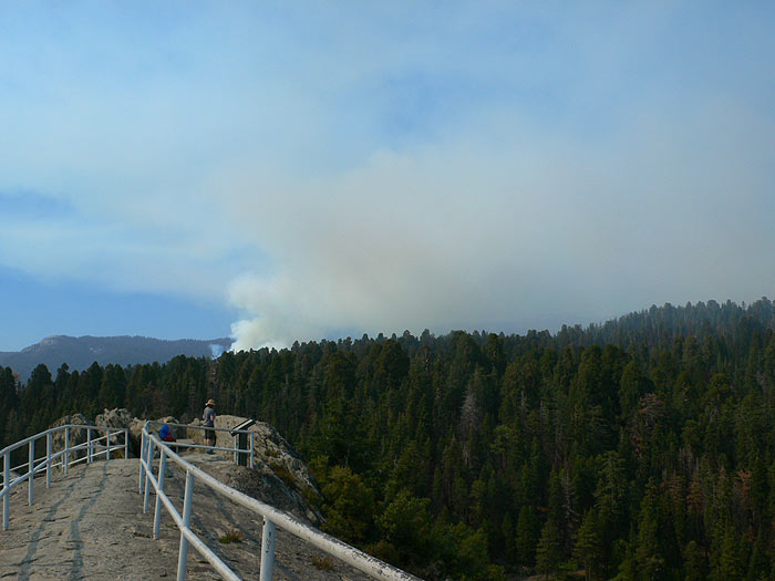 Vista de un incendio preventivo en el Giant Forest 