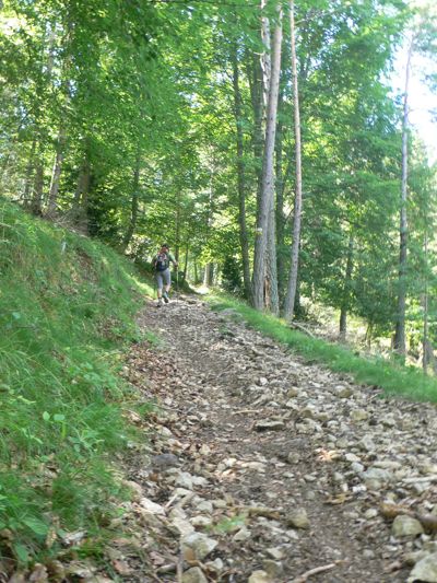 Rampas de subida a la pista del Roc de la Lluna 