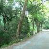 Bajada de Sant Medir / Ruta en Bici De Barcelona a Valldoreix 