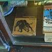 Ejemplar del libro Fiesta en la casa de Hemingway / Ruta en Bici Una vuelta por Key West 
