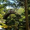 En el Jardín Japonés / Ruta en Bici San Francisco | Golden Gate | Sausalito 