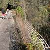 Puente que cruza el Llobregat / Ruta en Bici Vía Verde del Llobregat 