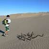 Sólo los cactus sobreviven aquí / Ruta a pie Cerro Blanco 