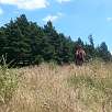 El camino se pierde entre la vegetación / Ruta a pie Cingles de Malanyeu 