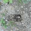 ¿Es la pisada de un oso? / Ruta a pie Grand Teton National Park | Por las orillas del lago Jackson 