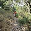Subiendo entre hayas y pinos / Ruta a pie Montblanc y la ermita de Sant Joan 