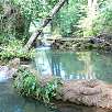 Bañeras naturales propias de la riera de Cogolls / Ruta a pie Riera de Cogolls | Salt del Molí dels Murris 