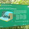 El secreto de las vías verdes / Ruta a pie Riera de Cogolls | Salt del Molí dels Murris 
