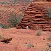 Imprescindible llevar por lo menos 4 litros de agua por persona. Alguien dejó una garrafa por si acaso / Ruta a pie Coyote Buttes | The Wave 