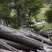 Marmota de camino a Observation Point / Ruta a pie Yellowstone | Old Faithful 