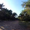 Llano donde estacionar en bosque de l’Agustenc 