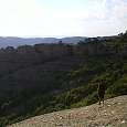 Vista atrás hacia el Morral de Sescorts 