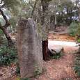 Menhir d’en Llach 